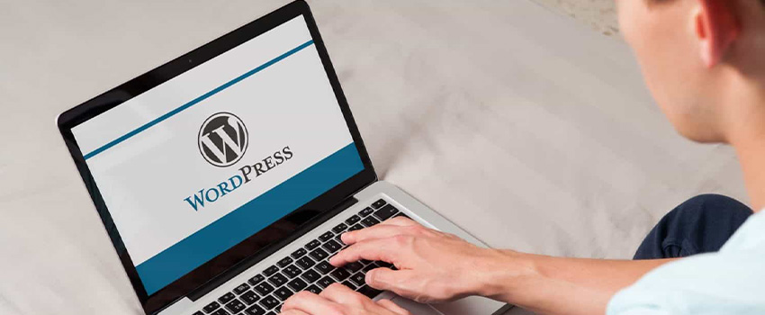 Top 10 Best WordPress Themes for 2025: Upgrade Your Website Design